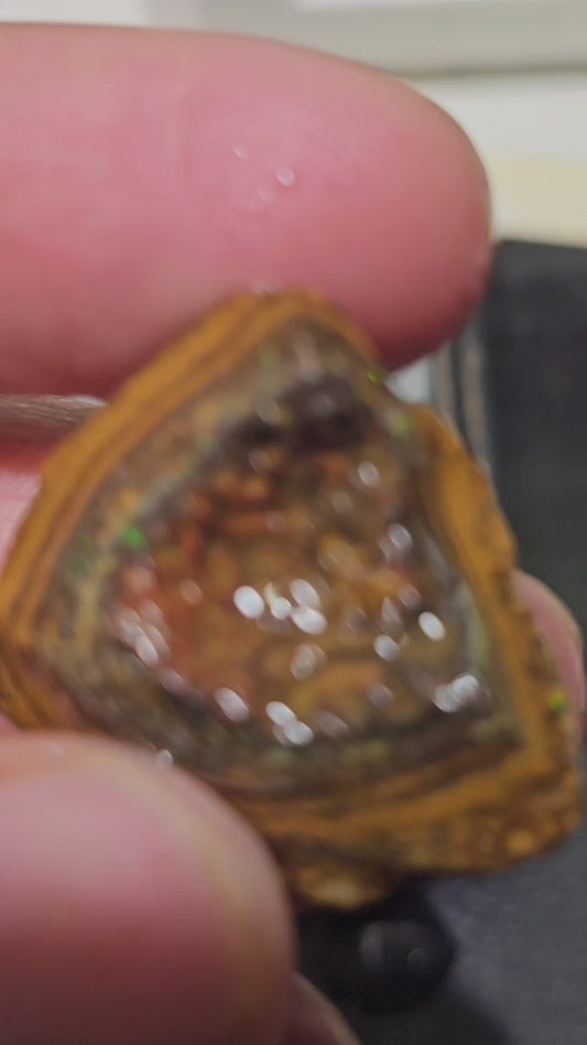 66ct Koroit
