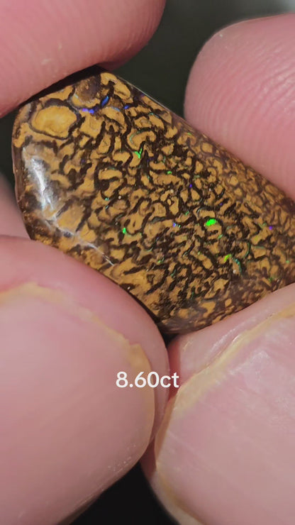 Queensland boulder 8.60ct
