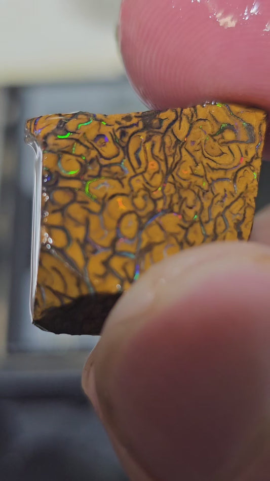 29ct Koroit boulder