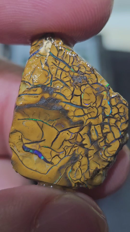 Koroit 33.95 ct boulder