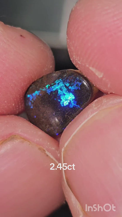 20.45 Queensland boulder