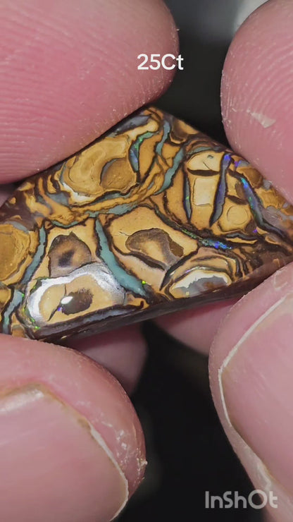 25ct Queensland boulder opal