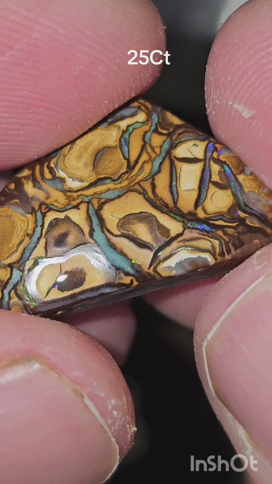 25ct Queensland boulder opal
