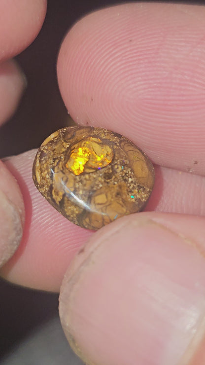 7.00ct au Queensland boulder opal