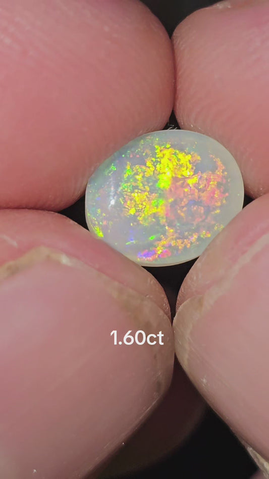 Australia opal 1.60
