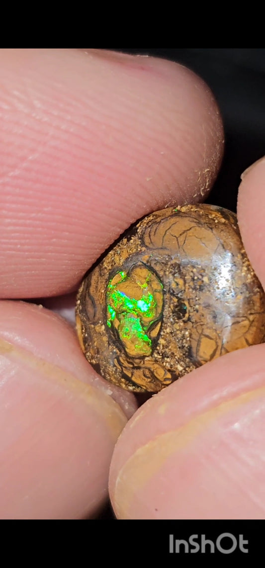 7.00ct au Queensland boulder opal